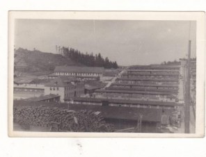 Flossenburg Concentration Camp Letter & photo image 7