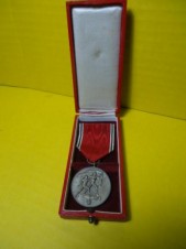 GERMAN Austria Occ. Medal 13 Mar 1938 Cased image 2