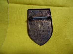 NSDAP NSBO 1933 HESSEN BADGE image 2