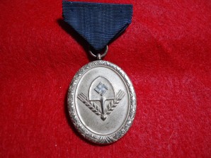 GERMAN RAD 12 YR SERVICE MEDAL image 1