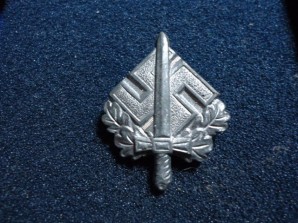 German Donation Pin image 1