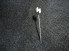 German Youth Silver Rune Stick Pin & ID Card image 1