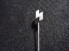 German Youth Silver Rune Stick Pin & ID Card image 2