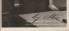 ADOLF HITLER AUTOGRAPH PHOTO image 2