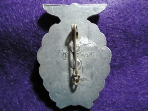 SA TREFFEN BRAUNSCHWEIG 1931 BADGE image 2