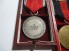 AUSTRIA & SUDETEN MEDALS-CASED image 6