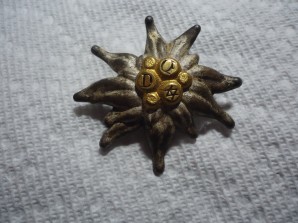 WWII GERMAN EDELWEISS BADGE SILVER FINISH image 1