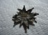 WWII GERMAN EDELWEISS BADGE SILVER FINISH image 2