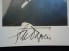 Franz von Papen Autograph-Signed Photo image 2